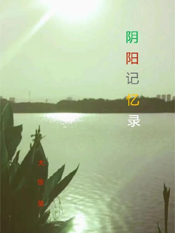 阴阳记录