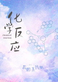 化学反应小说
